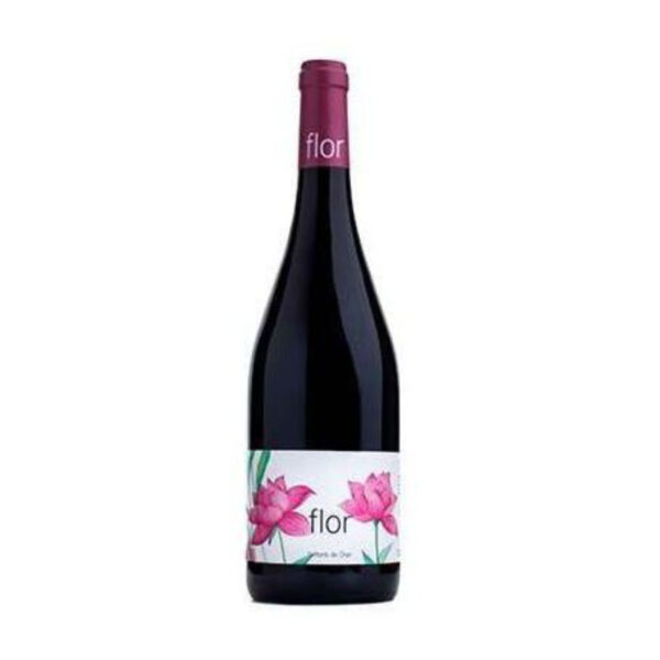 Granada ofrece una experiencia única en Vinoteca Mil y un Vino, donde puedes degustar el exclusivo vino Flor.