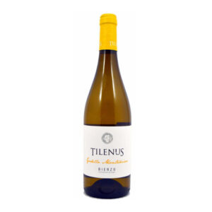 En Granada, descubre la excelencia vinícola en Vinoteca Mil y un Vino, con selecciones exclusivas como Tilenus Godello Monteseiros.