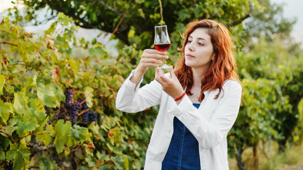 Vinos ecológicos: Una elección sostenible