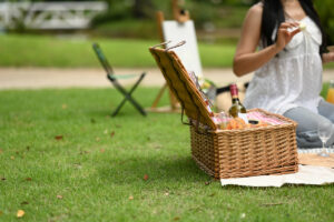 Los mejores vinos para picnics